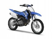 2009 Yamaha TT-R110E photo